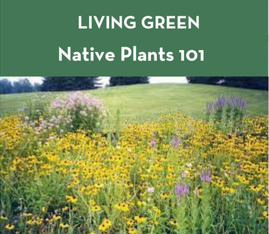 Image for event: Living Green: Native Plants 101