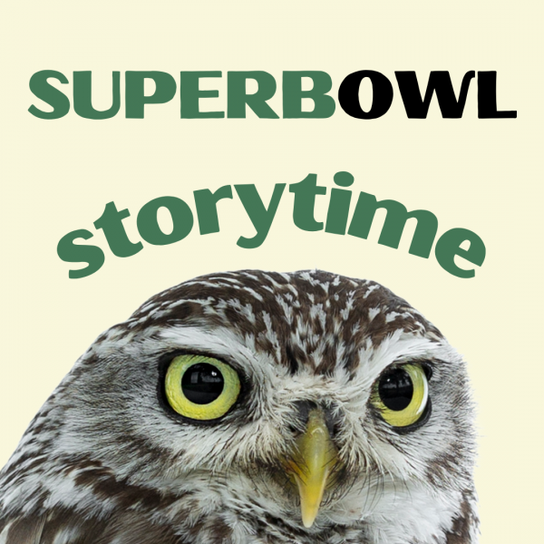 superb owl storytime